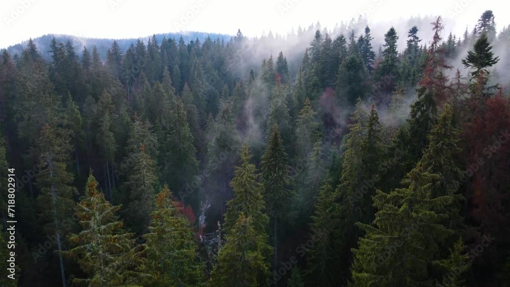 flying drone over the cloudy fog haze of the Black Forest in southern Germany. Black forest View from Mount Blauen to Belchen. flying drone over the cloudy fog haze of the Black Forest in southern Germany. Black forest View from Mount Blauen to Belchen.