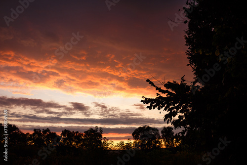 View from behind a tree of the red yellow-purple sky during sunset