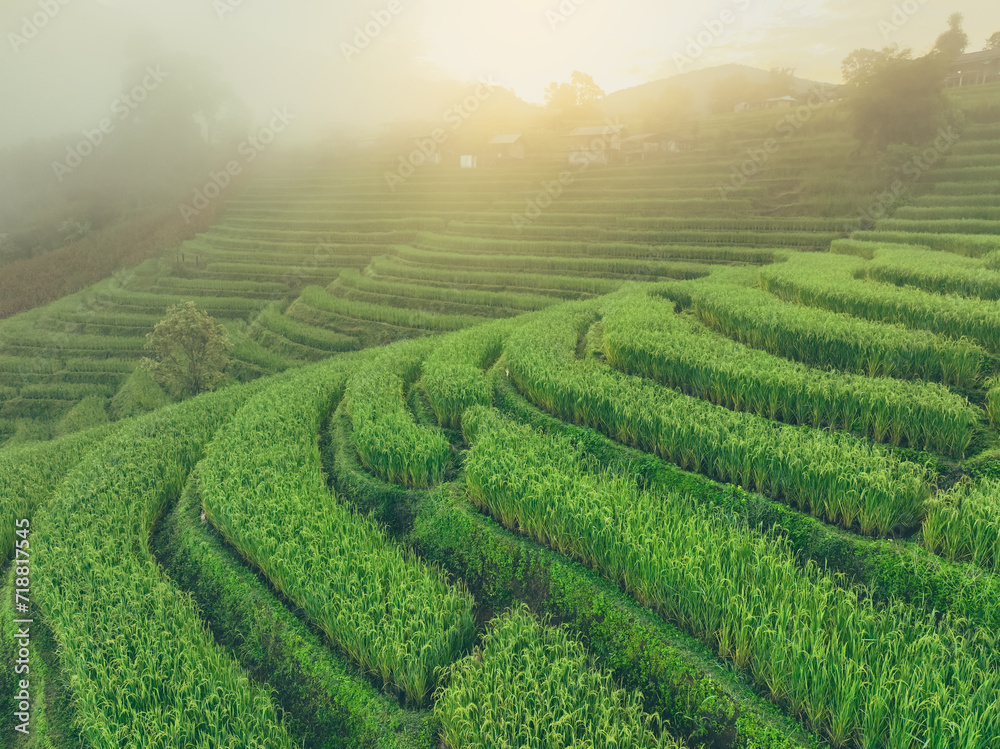 Landscape of green rice terrace with mist in the morning. Nature landscape. Green rice farm. Terraced rice fields. Travel destinations in Asia. Traditional organic rice fields. Sustainable agriculture
