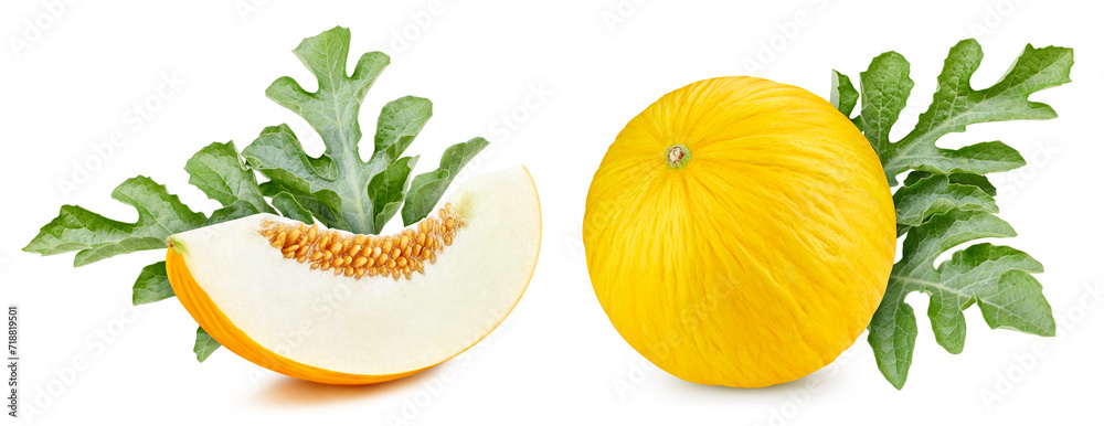 Fresh organic melon isolated Fresh organic melon isolated