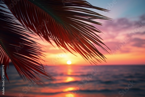 Palm leaves on sunset © Amer