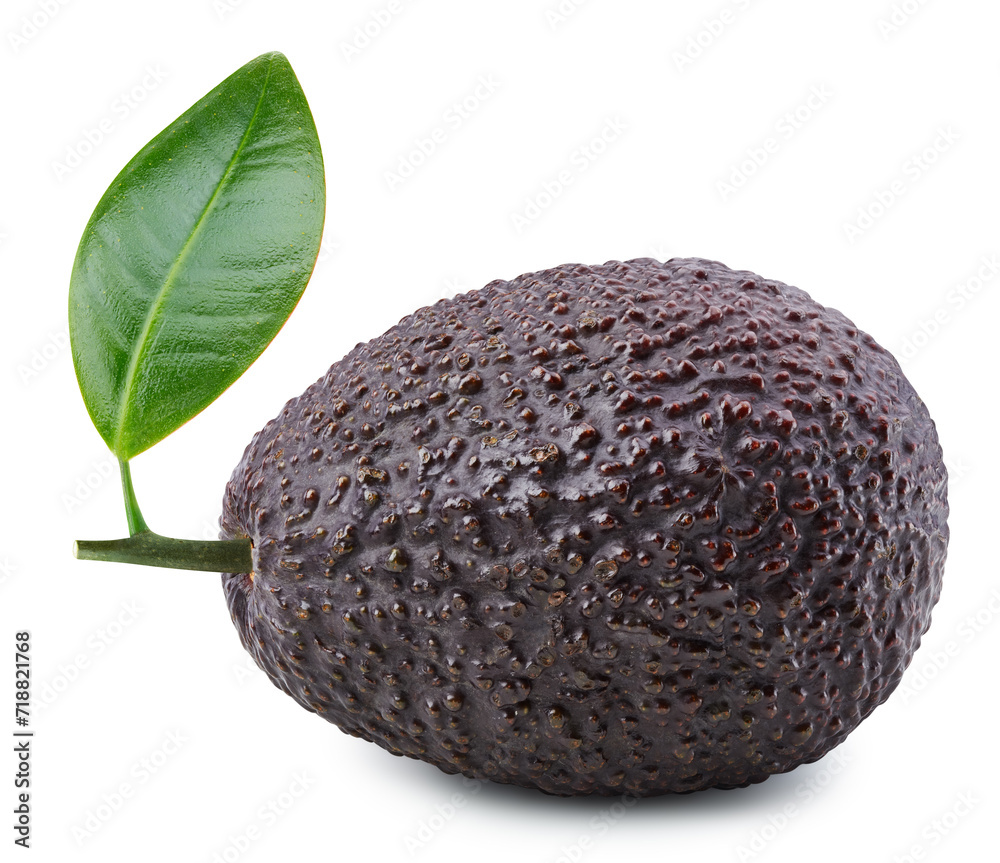 Isolated avocado with leaf Isolated avocado with leaf