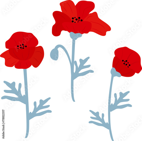 red poppy flowers png illustration set  on transparent background