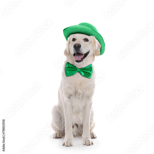 St. Patrick's day celebration. Cute Golden Retriever dog with green hat and bow tie isolated on white