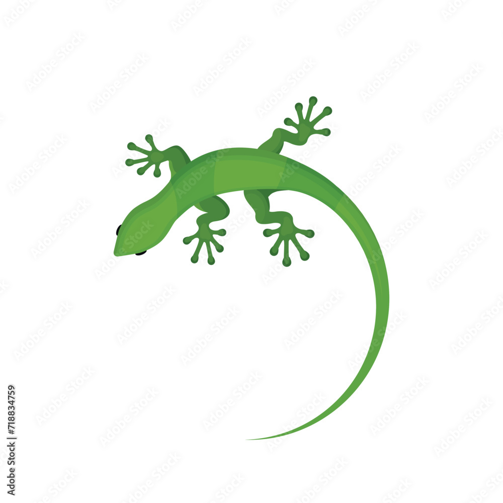 Naklejka premium Green lizard gecko
