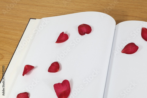 Petali di rosa invernali appoggiati sulla pagina bianca vuota del diario.