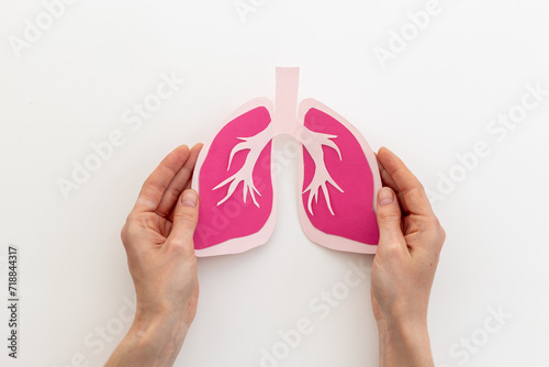 Paper lungs organ model in human hands, top view. Medical concept