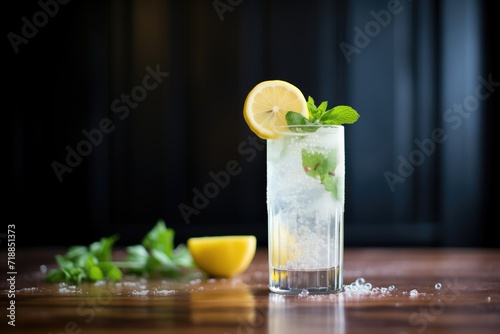 glass of sparkling water with lemon slice and mint leaf