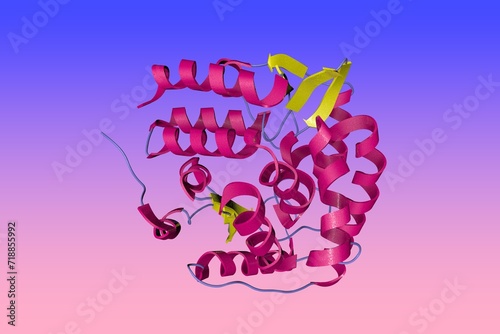 Human tryptophan hydroxylase 1 in complex with inhibitor. Ribbons diagram in secondary structure coloring based on protein data bank entry 8cjn. Scientific background. 3d illustration