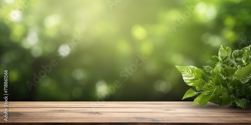 Wooden table top with abstract, fresh green garden backdrop for product display or visual design layout. © Sona