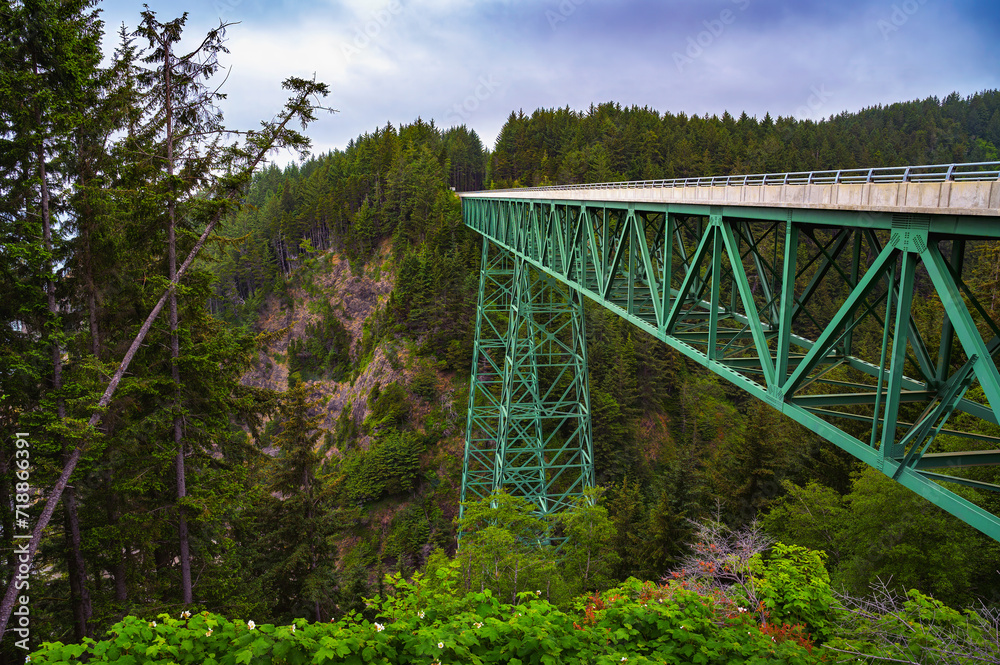 Side view of the Thomas Creek Bridge amidst lush forest in Oregon.