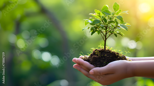 Person holds in his hands a handful of ground from which the green plant grows. The concept of greening the Earth and preserving vegetation on it.