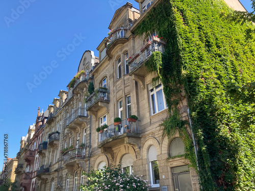 Altbaufassaden und Straßenbegrünung in Heidelberg photo