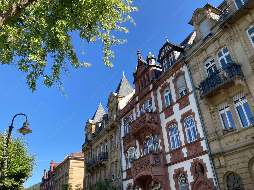Altbaufassaden und Straßenbegrünung in Heidelberg