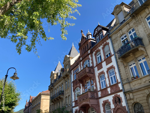Obraz na płótnie Altbaufassaden und Straßenbegrünung in Heidelberg w salonie