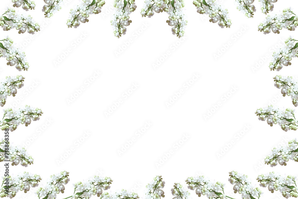 Frame of white lilac flowers isolated on transparent background. Mothers day, womens day concept. Flat lay, top view. Flowers composition Frame of white lilac flowers isolated on transparent background. Mothers day, womens day concept. Flat lay, top view. Flowers composition