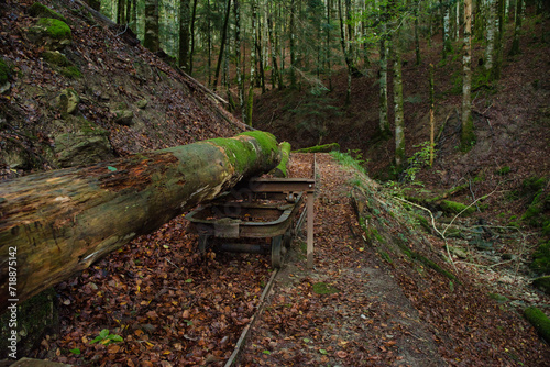 Working memory, old timber loading station in the Irati Forest, cable systems to transport timber from the Irati Mountain to the Irati River, the second largest beech-fir forest in Europe. Navarra photo