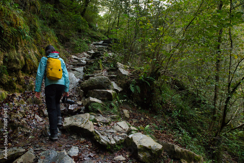 Niña haciendo senderismo en el bosque de Selva Irati, en el norte de Navarra, España en los Pierineos Atlanticos. Principios de otoño. Bosque de hayedo frondoso photo