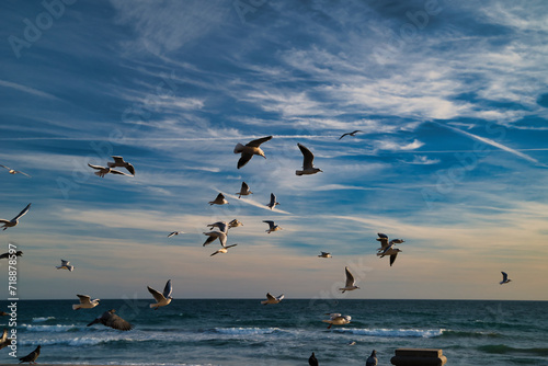 Landscape of the Mediterranean coast in Sitges with seagulls and a blue background with sky and sea.