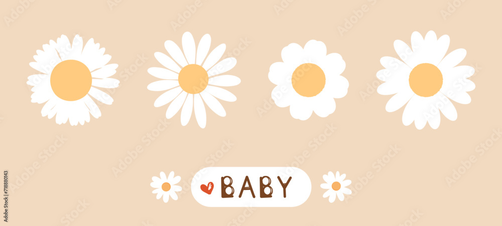 Fototapeta premium Set of retro daisy flower on beige background vector illustration.