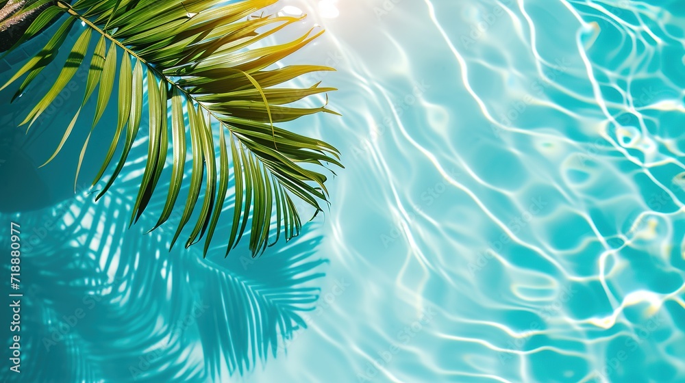 Palm leaf isolated on sunny blue rippled water surface, summer beach holidays background concept with copy space
