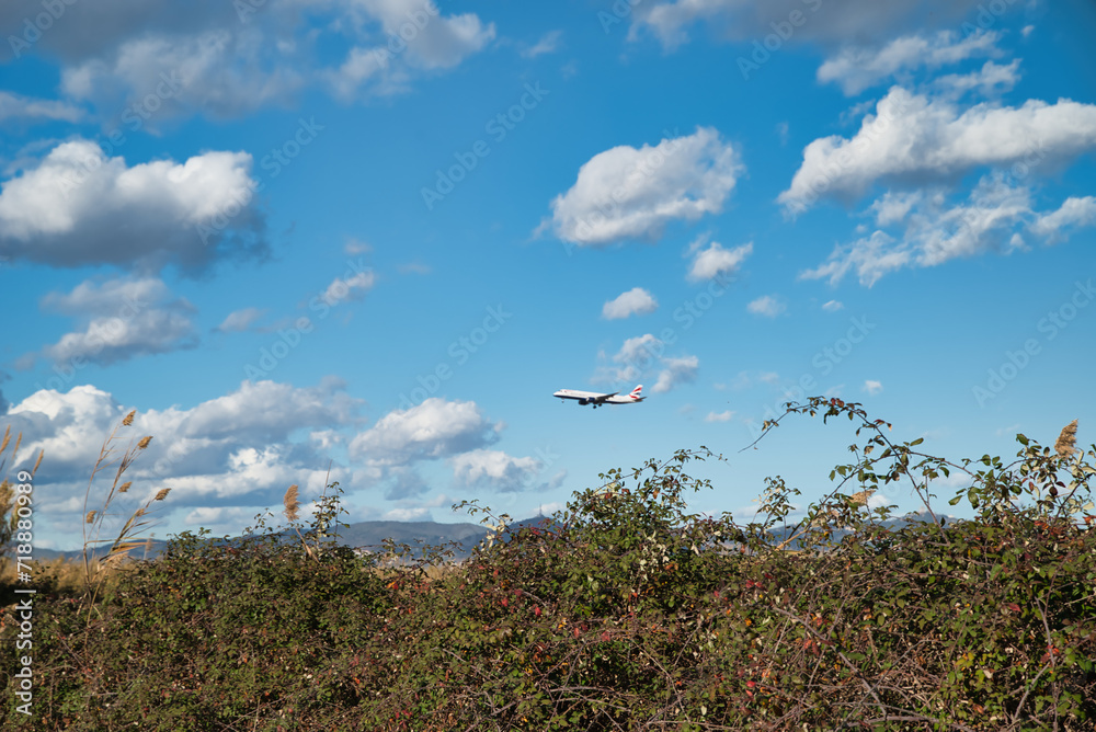 Fototapeta premium Plane flying arriving at the airport, image with vegetation silhouette
