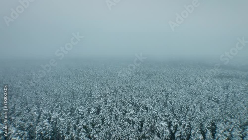Aerial view of forest landscape during frosty winter near Białystok, Hajnówka, and Białowieża with mist