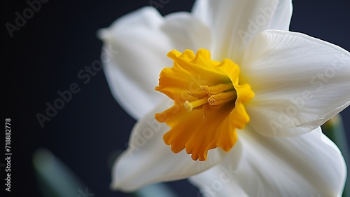 artificial intelligence macro image of a beautiful flower