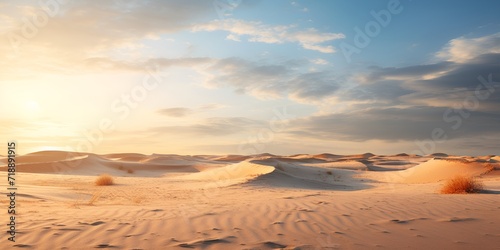 Sandy desert dunes contributing to a healthy eco system   Sandy desert dunes  healthy eco system  desert