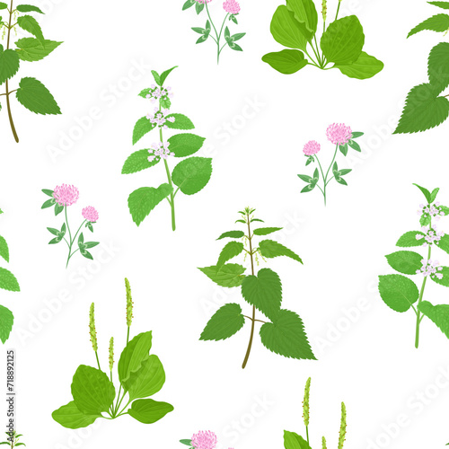 Botanical background with wild herbs. Seamless pattern with branches of nettle, lemon balm, green plantain leaves and clover flowers. Vector cartoon illustration of meadow plants on white.
