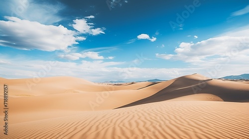 Sand dunes landscape contributing to a healthy eco system   Sand dunes landscape  healthy eco system  desert