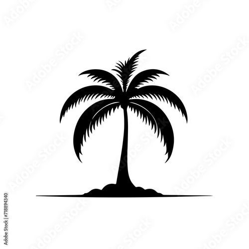 palm tree silhouette