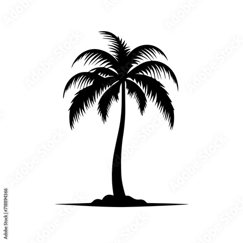 palm trees silhouette