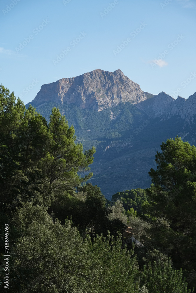 Beautiful scenic landscape nature scenery on Mallorca Isle Balearic Island during summer with mountains and woods