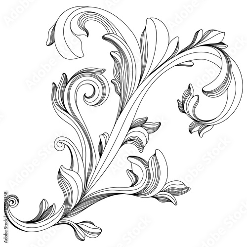 Hand drawn baroque decorative element filigree calligraphy for design.