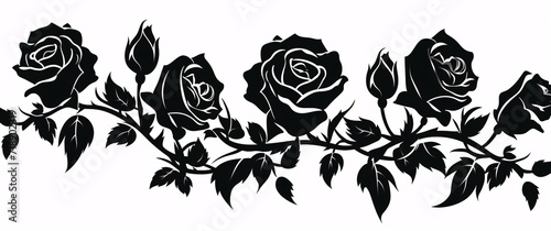 black roses silhouette isolated on a white background