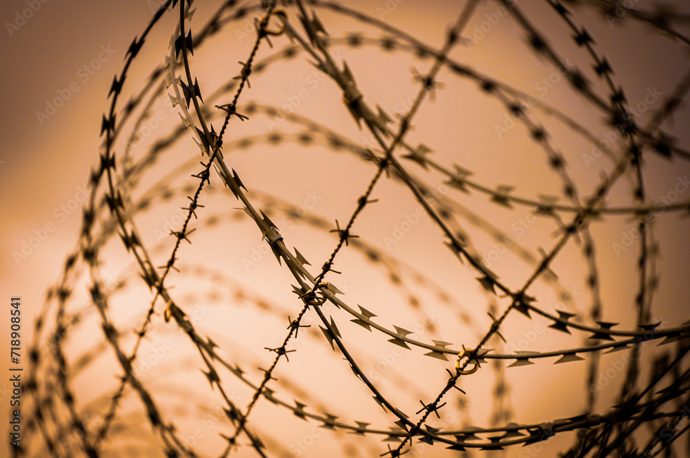 Barbed wire fence on the sunset background Barbed wire fence on the sunset background