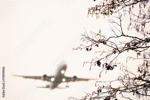 Silhouette of branches of trees and airplane and white background