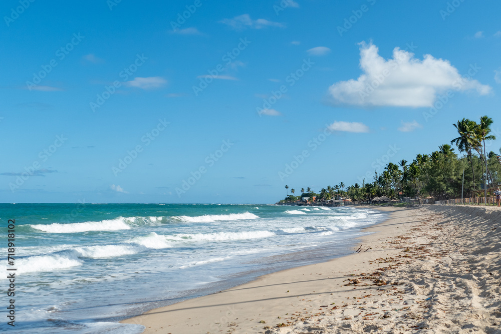 beautiful sandy tropical beach at Maracaipe, Brazil