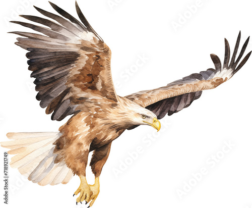 White tailed eagle flying watercolor illustration created with Generative AI technology