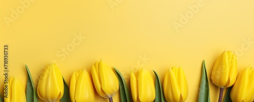 tulips on a yellow background with space for a copy