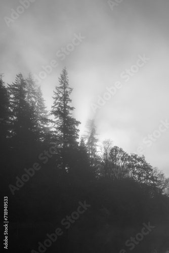 Loch Ard in the fog