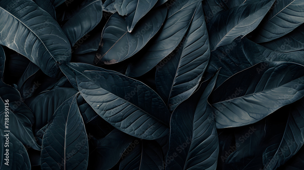 Luxe and Elegant black leaves background and delicate, ideal for refined designs