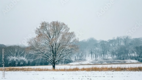 A tree covered with snow stands alone in a snowy field