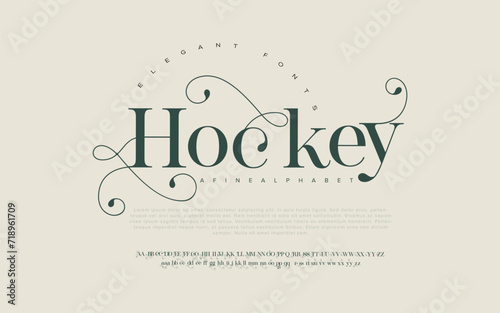 Hockey Elegant Font Uppercase Lowercase and Number. Classic Lettering Minimal Fashion Designs. Typography modern serif fonts regular decorative vintage concept. vector illustration 