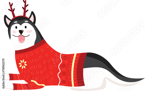 Happy husky dog dressed in a festive reindeer sweater and antlers. Cheerful pet enjoying holiday season in cute outfit.