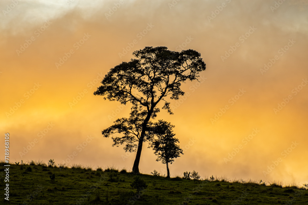 A lonely tree on top of a mountain, against a beautiful sunset sky and hill top. A lonely tree on top of a mountain, against a beautiful sunset sky and hill top.
