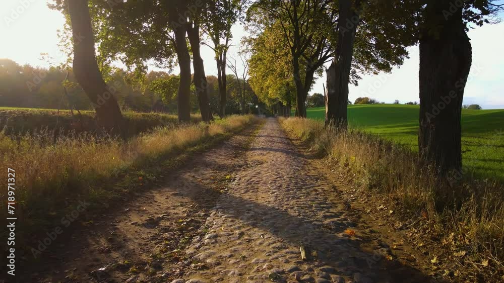 Vidéo Stock Slow flying over autumn path. Sunset golden hour. Sun rays ...