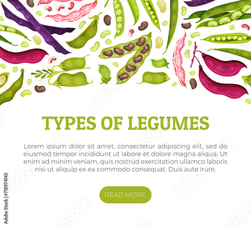 Legume Plant Banner Design with Pod and Bean Vector Template