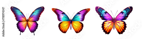 butterfli can fly Colorful butterflie on a clean background. spring and summer Isolated on a clear background, PNG file